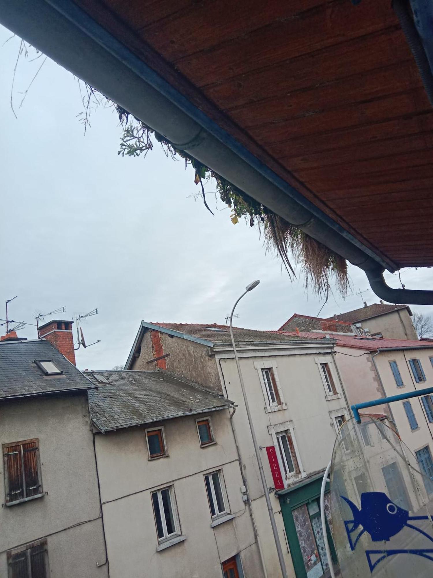 Hotel La Coquille D'Or à Aixe-sur-Vienne Extérieur photo